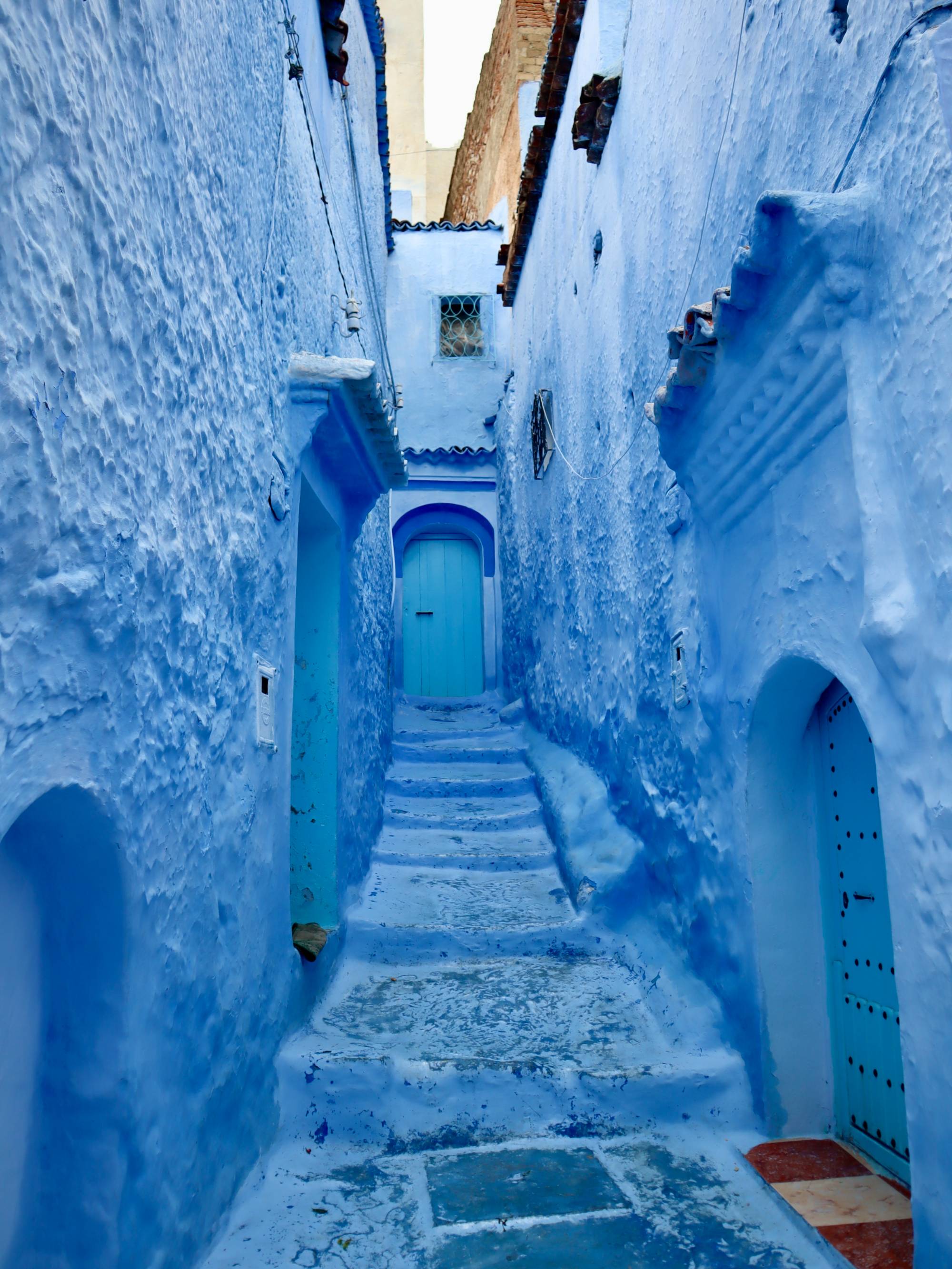 Street Art and Favorite Neighborhoods, Meliha Kulic